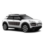 C4 Cactus