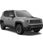 Renegade