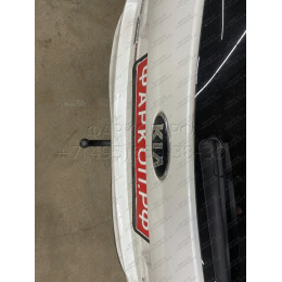 6761-AN ORIS Фаркоп на Kia Sorento Prime 2015-2018, 2018-2020, Hyundai Santa Fe 2018-2021. Необходима подрезка бампера. Тип шара: A. Нагрузки: 2000/75 кг, масса фаркопа 19,5 кг (без эле