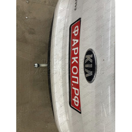 H091A GALIA Полностью оцинкованный фаркоп на Hyundai Santa Fe 2012-2018, 2018-2021, Kia Sorento 2012-2015, 2015-2020. Подрозетник убирается за бампер. Тип шара: A. Подрезка бампе